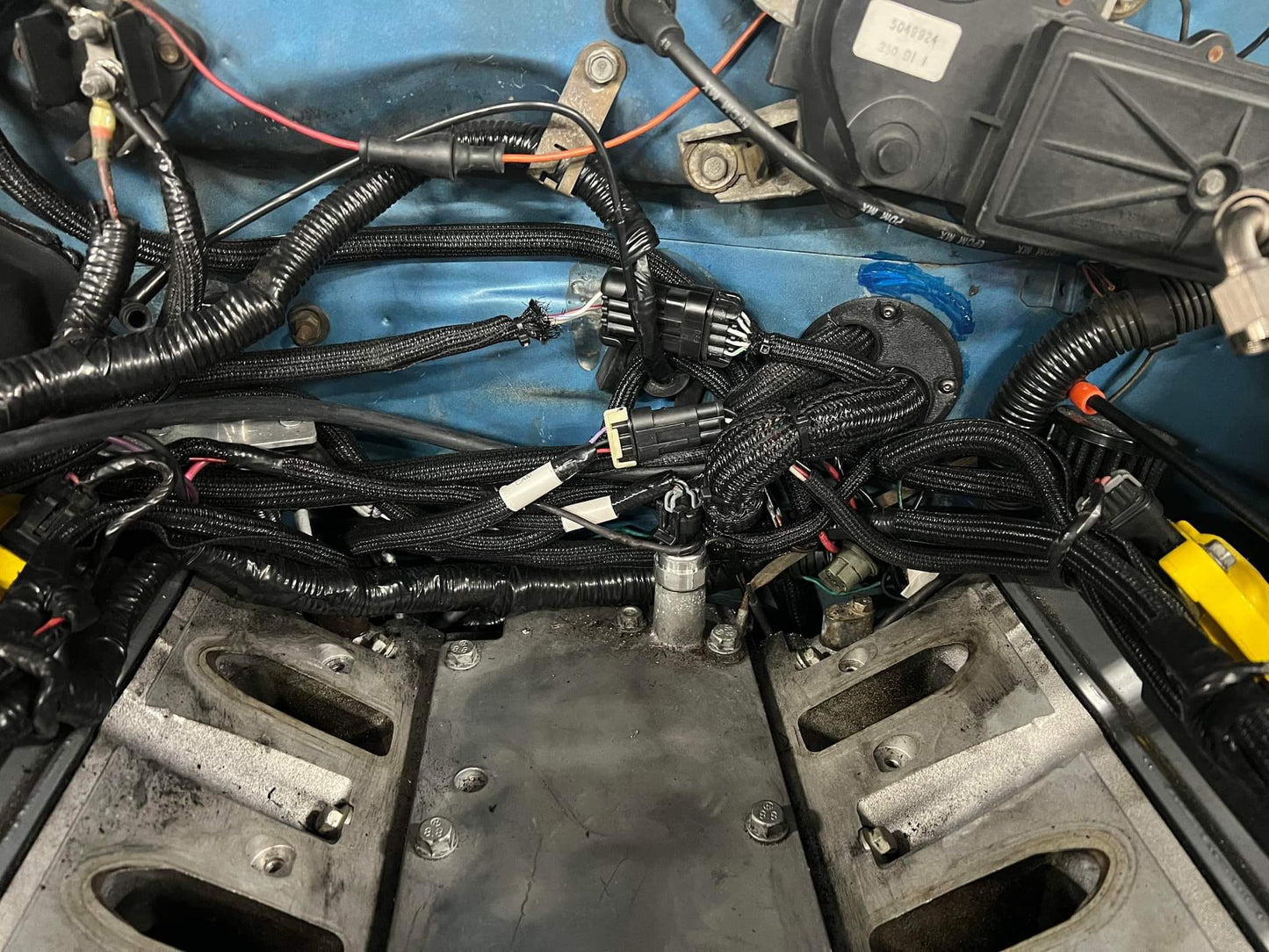 Universal bulkhead fitting for terminator x and x max systems