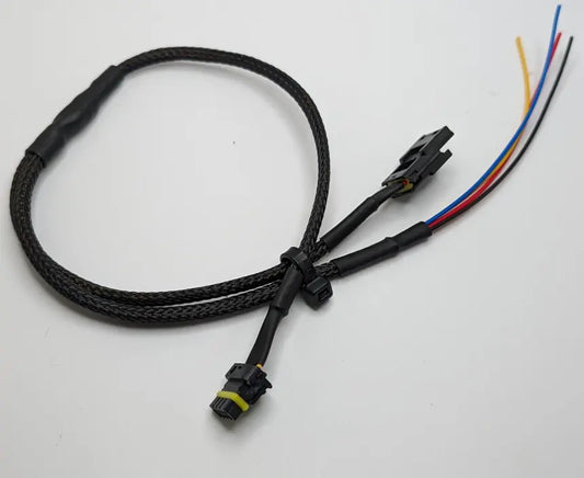 NexGen Holley CANBus Harness